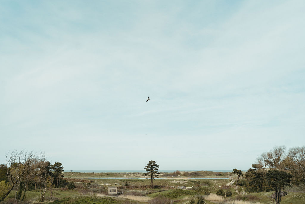 zwin natuur park