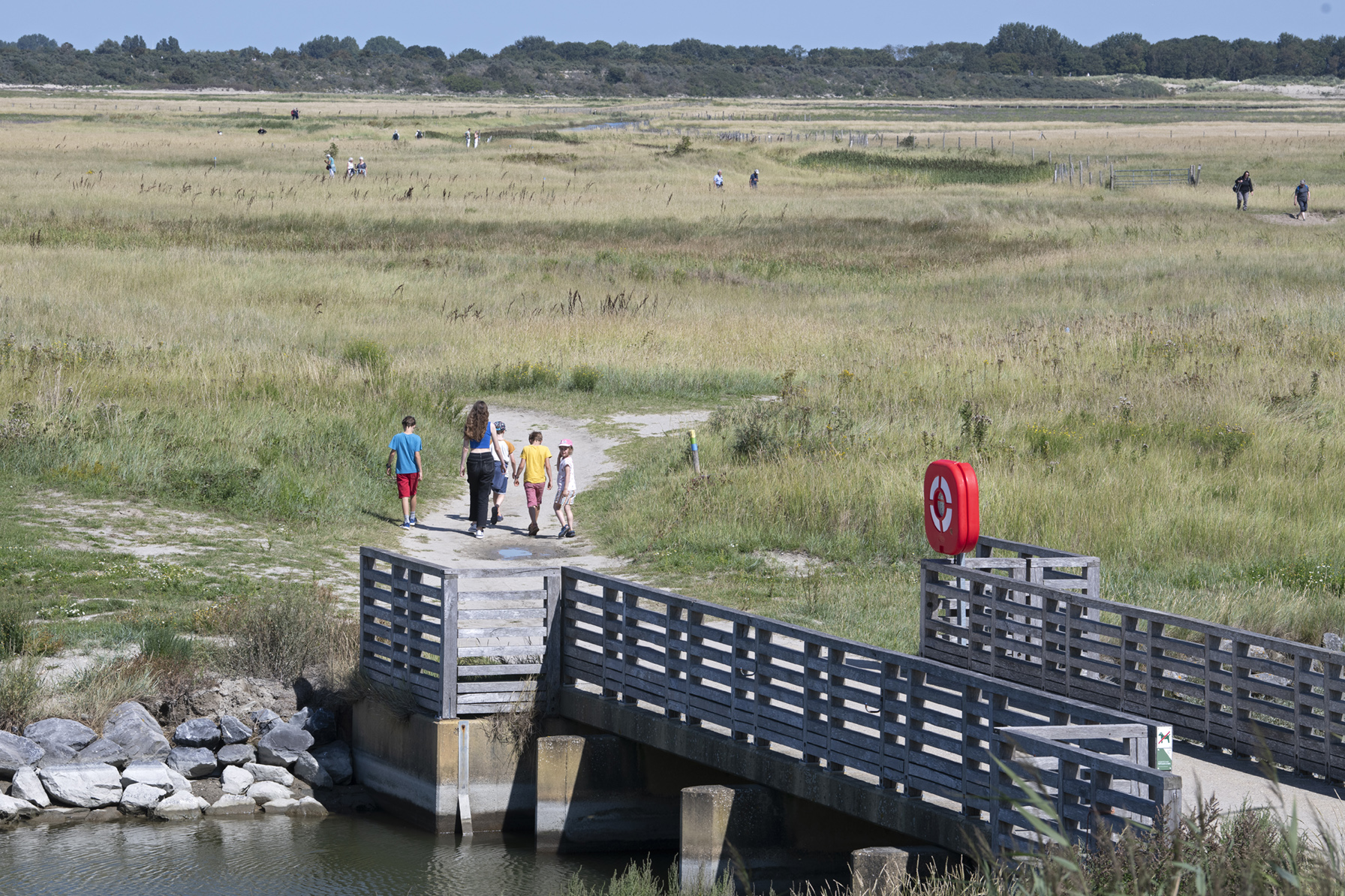 wandelingen