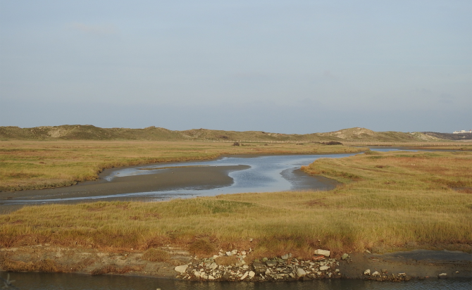 zwinvlakte bij laag water