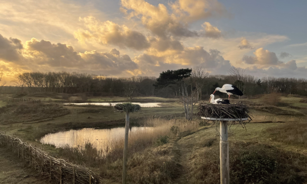 huttenparcours - ooievaarstoren 