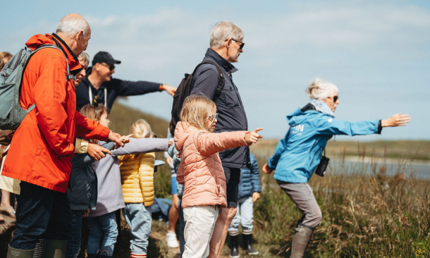 gezinswandeling in het zwin