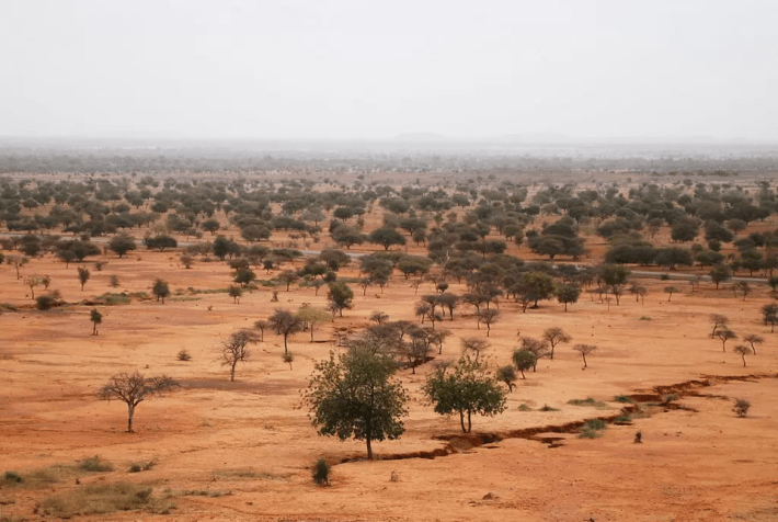 sahel